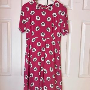 Ann Taylor Fuchsia Flowers Midi Dress